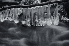 Anders-Jannesson-1