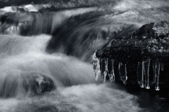 Anders-Jannesson-2