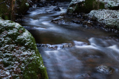 Jan-Arell-1